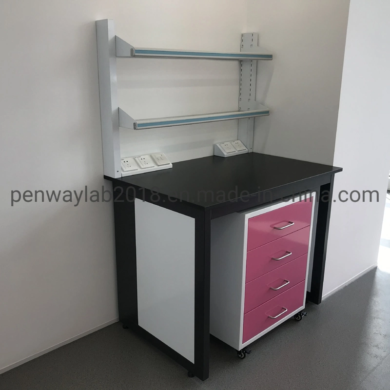 All Steel Painted Chemical Resistant Work Station Cabinets Lab Table