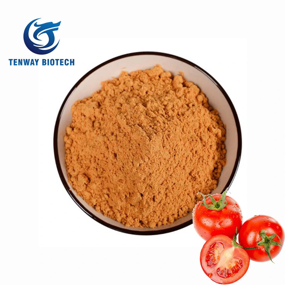 China Manufacturer Non-GMO Food Ingredient Tomato Extract Powder for Ketchup