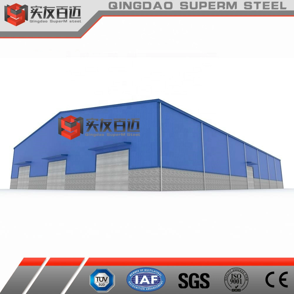 1000 Sqm Prefab Steel/Metal Structure Frame Plant for Production/Produce/Process/Storage