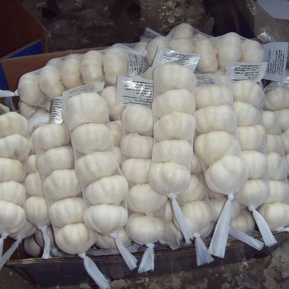 Hot Sales Chinese Garlic in Newest Crop Export to Europe