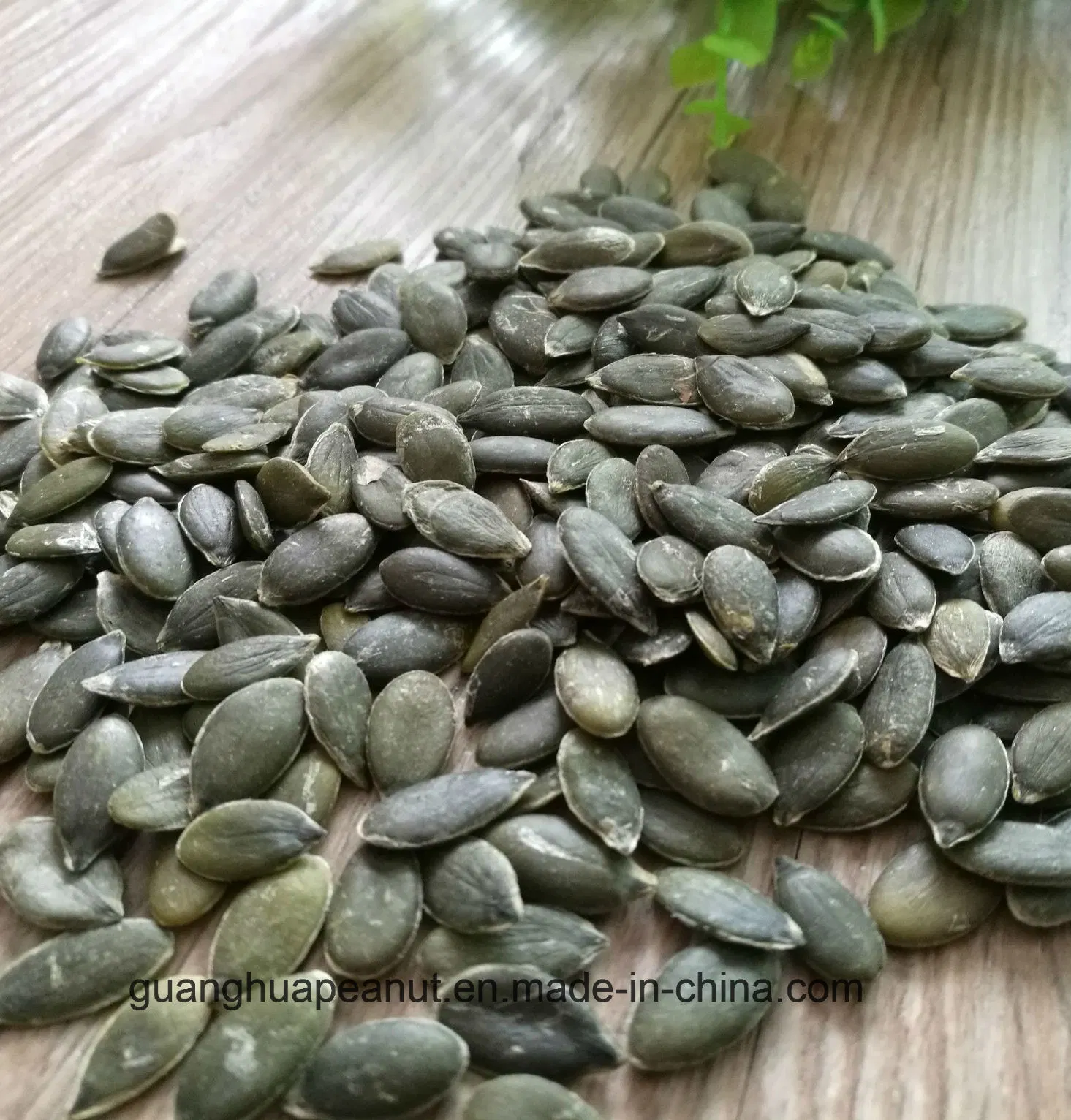 Grown Without Shell Pumpkin Seeds