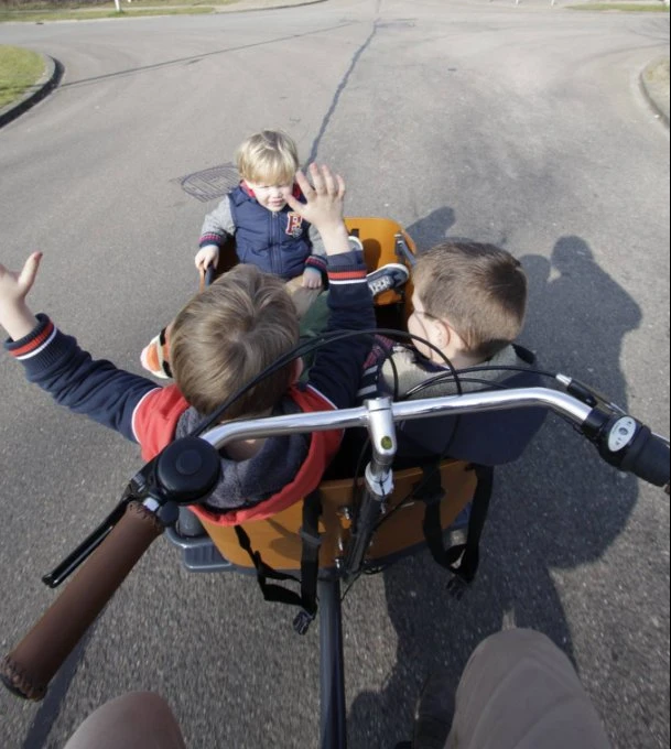 Boîte en bois Vélo électrique à chargement frontal à balancier pour transporter des enfants, des animaux domestiques et des marchandises.