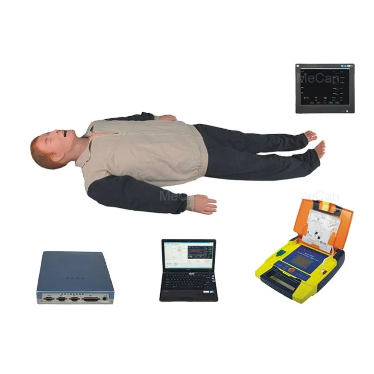 High quality/High cost performance Simulation Manikins Training Kits First Aid Kit Nursing CPR Manikin