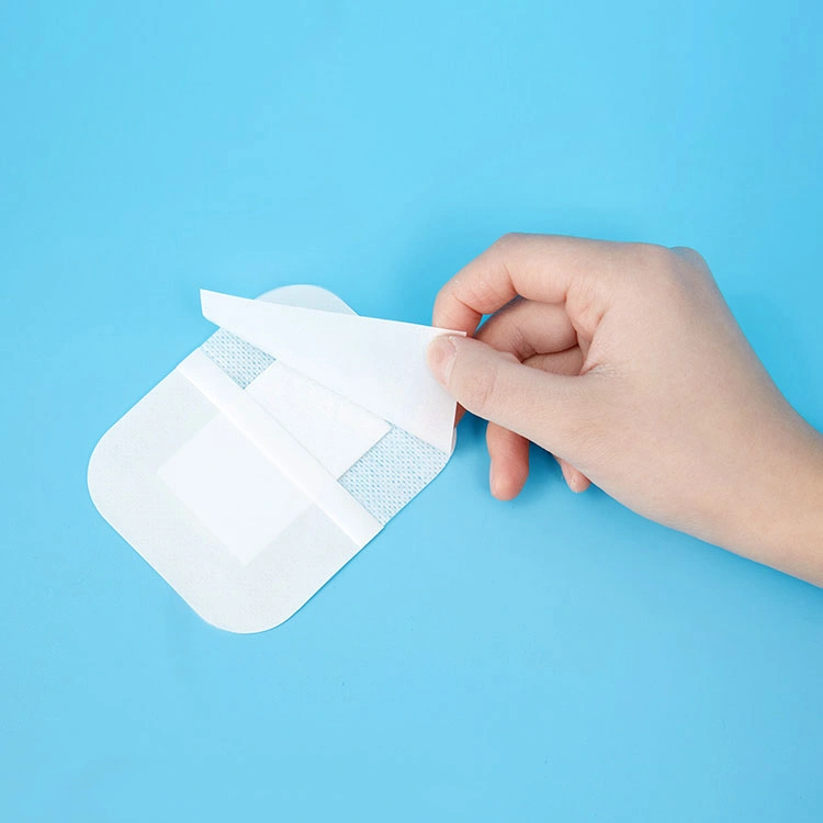 Wholesale/Supplier Customized Medical Personal Carindividually Packed E Disinfection Non Woven