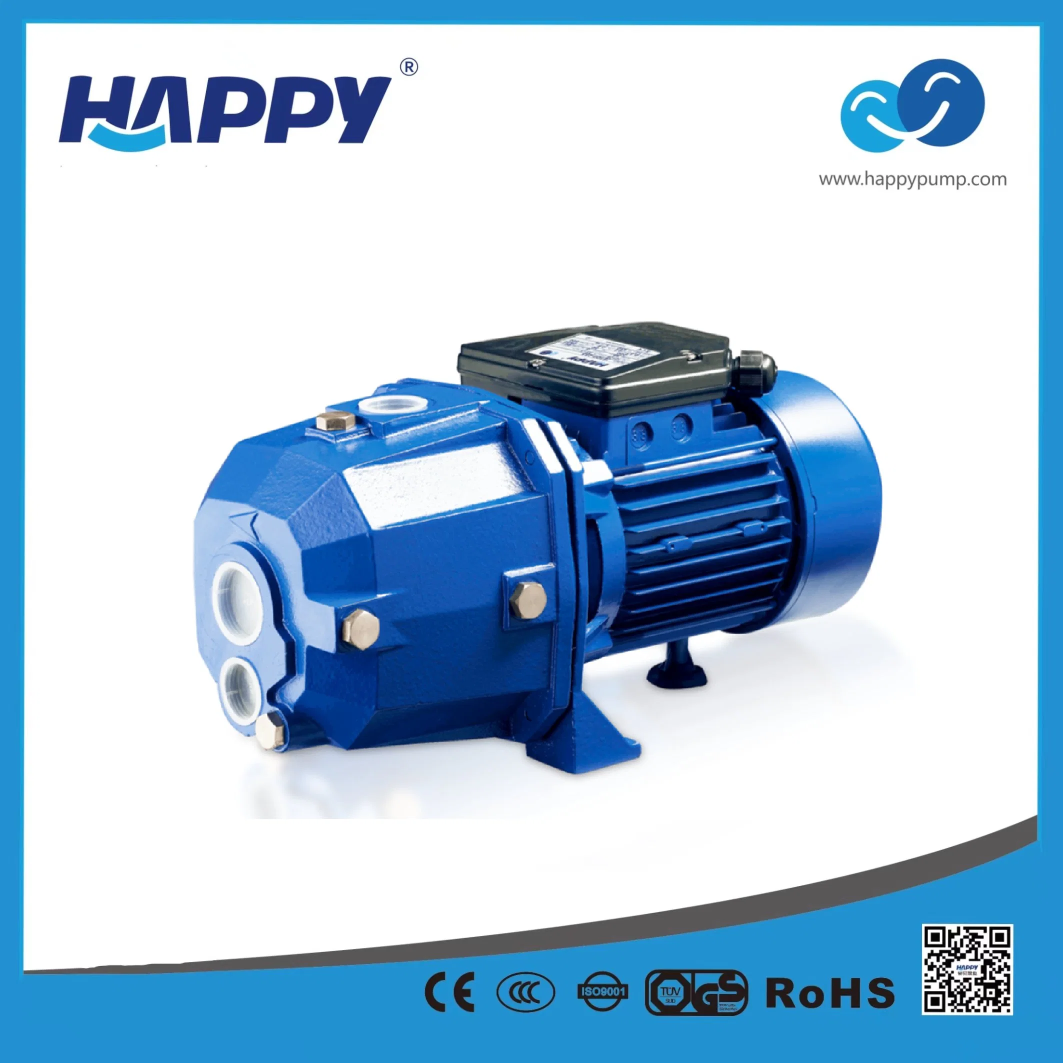 Deep Well Electric Self-Priming Jet Electric Water Pump (JETDP)