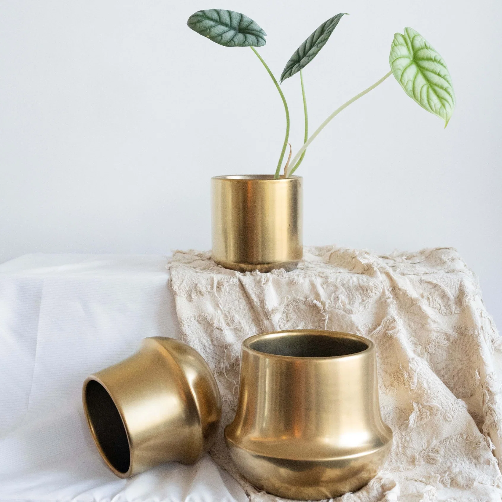 Gold Plating Small Flowerpot Home Decor Indoor Plants