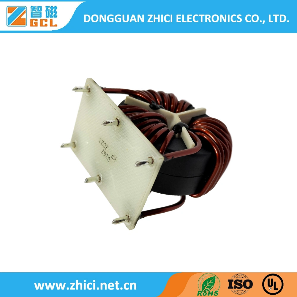 Toroidal Choke Inductor Coil Inductor with RoHS in Vertical and Horizontal Type