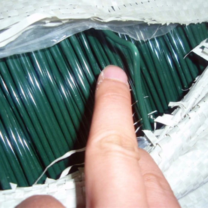 Plastic PVC PE Coated Galvanized Iron Wire for Consumer Product Packing Daily Binding