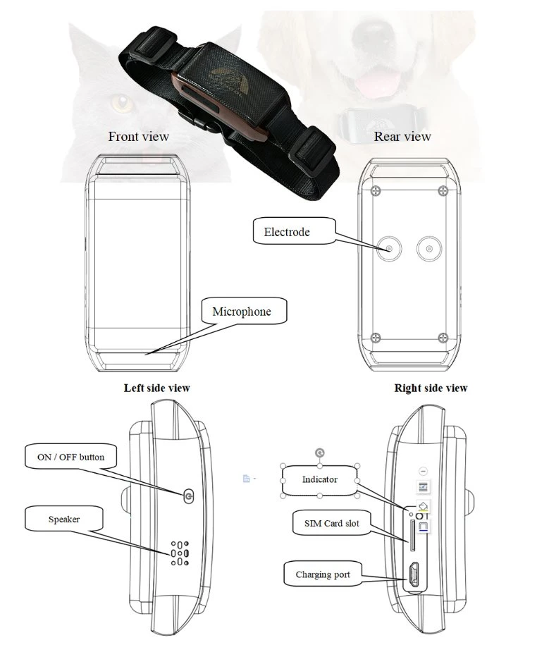 Suivi GPS de collier de suivi d'animaux pour chien Coban 201 Mini Produits de comportement anti-perte d'entraînement d'animal de compagnie GPS Tracker