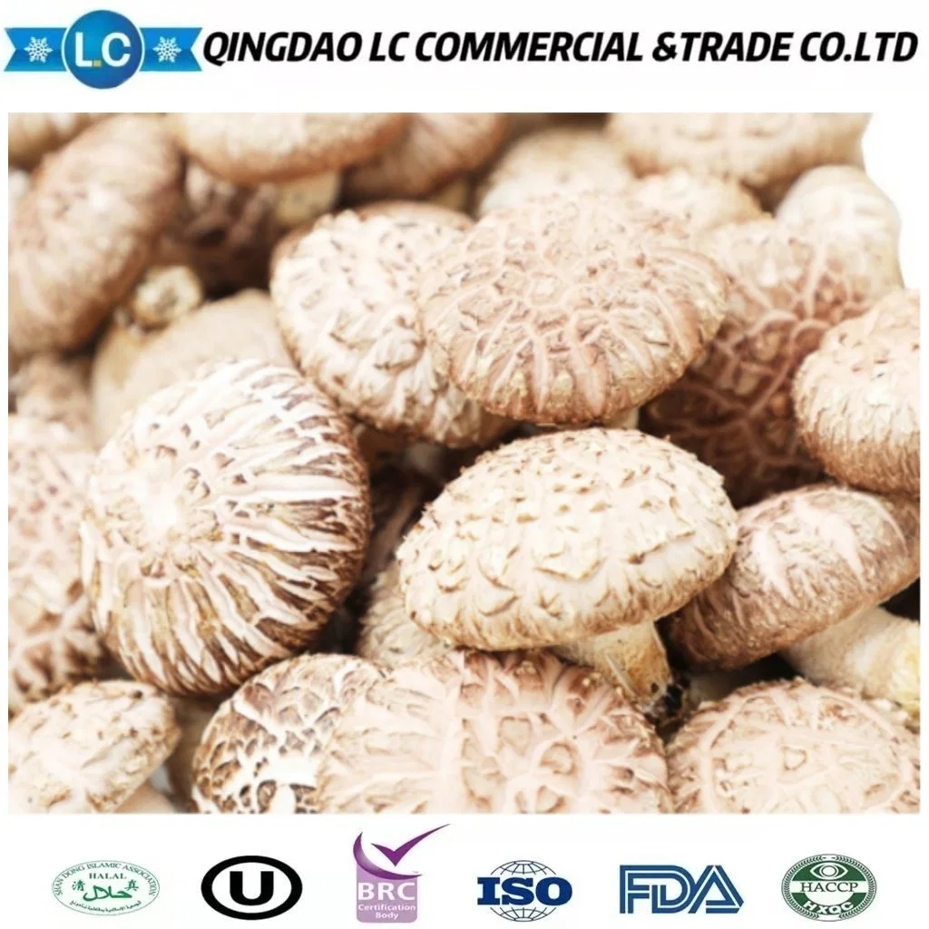 Wholesale/Supplier Price Raw Frozen Fresh Flower Mushroom for Buyers