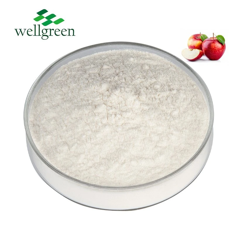 Nutritional Supplement Apple Fruit Extract Apple Cider Vinegar Powder for Weight Control