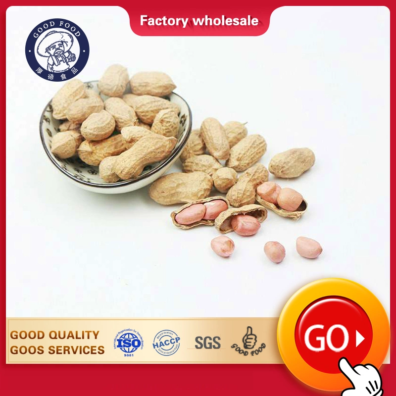 Suppliers of Chinese Milk Taste Roasted Peanut in Shell