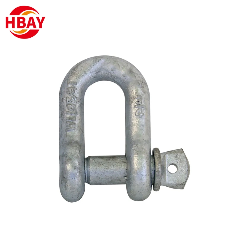 Quality Wholesale/Supplier G210 D-Shackle Hardware American