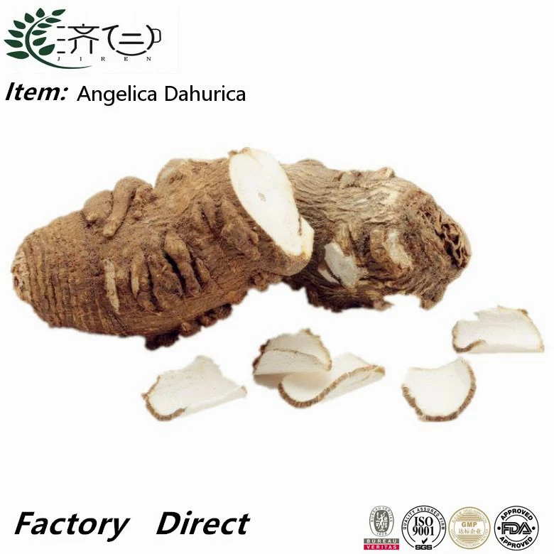 Bai Zhi Chinese Natural Herb Spice Dried Angelica Dahurica Slices