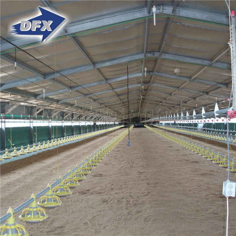 Industrial Prefabricated Light Steel Structure for Poultry Chicken House
