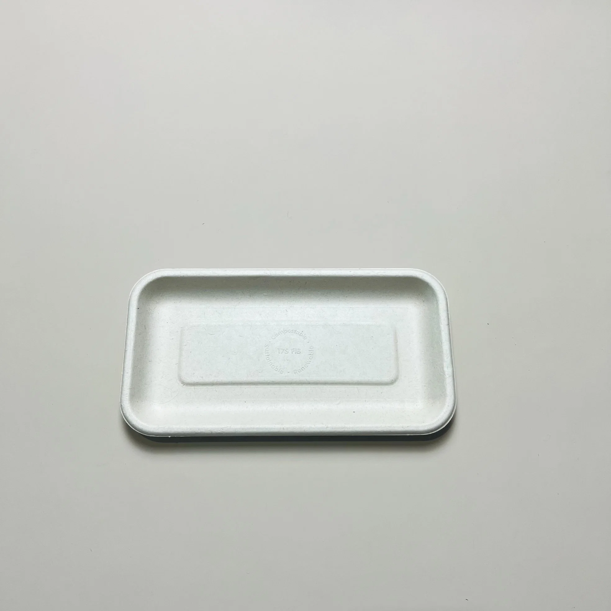 17s Tray Sugarcane Bagasse Dishes 100% Biodegradable Disposable Tray Factory Supply