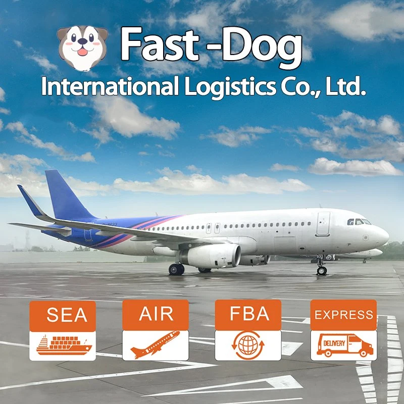 Professional Air Freight Air Cargo Shipping Company China nach Mexiko