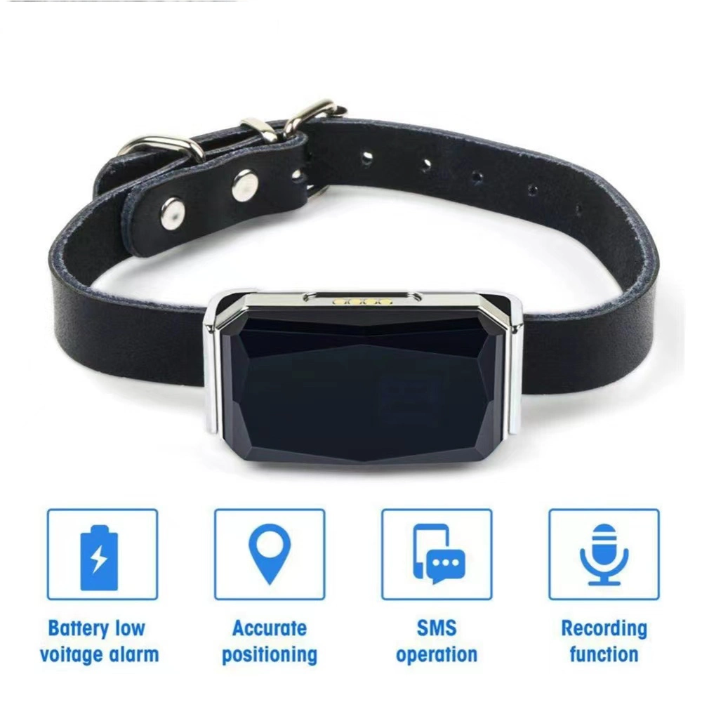 IP67 Wasserdichter Mini Pet GPS Tracker