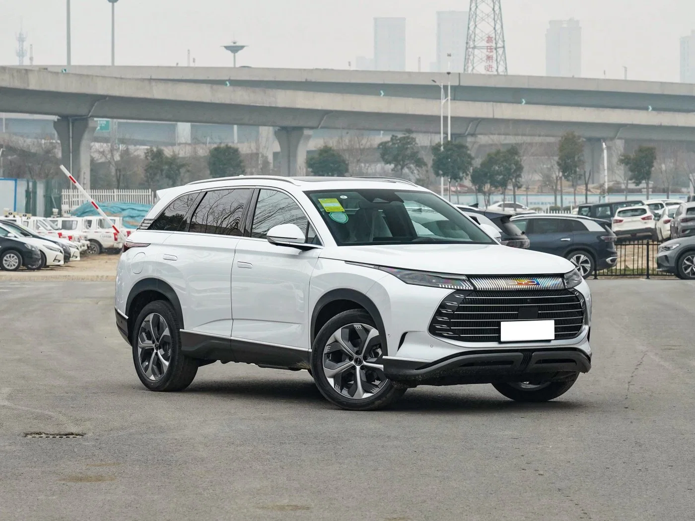 Byd Sea Frigate Sea Gull Dolphin Seal Dynasty Tang Song Yuan Qin Car Whole Sale Middle New Electric SUV Electric Car with Long Power Life Battery in Stock