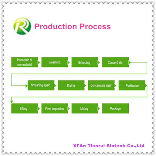 High quality/High cost performance 100% Natural Sarsaparilla Root Extract