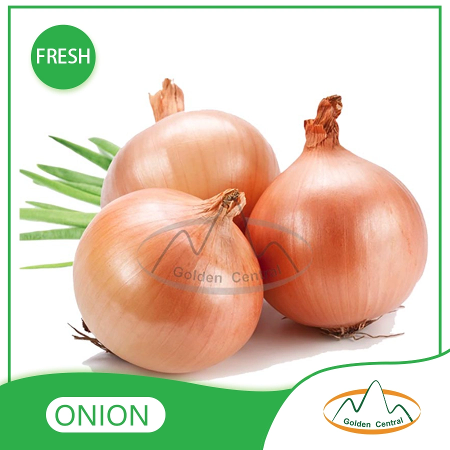 Melhor qualidade Atacado preço barato fresco Amarelo Onion