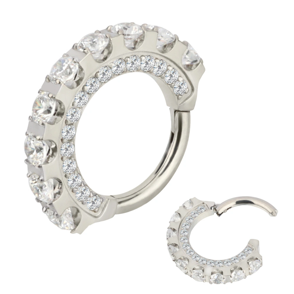 Factory Wholesale/Supplier Hot Titanium CZ Pave Face with Embedded CZ Segment Ring Piercing Body Jewelry Nose Rings