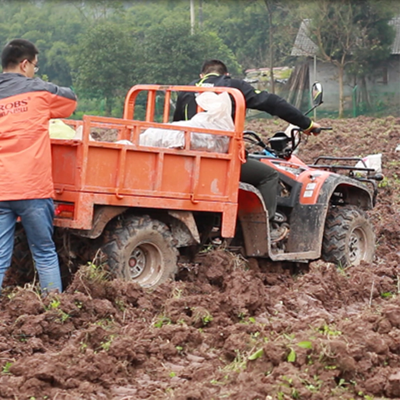 Un cilindro de freno de tambor Quad ATV adulto neumáticos 4X2 275cc