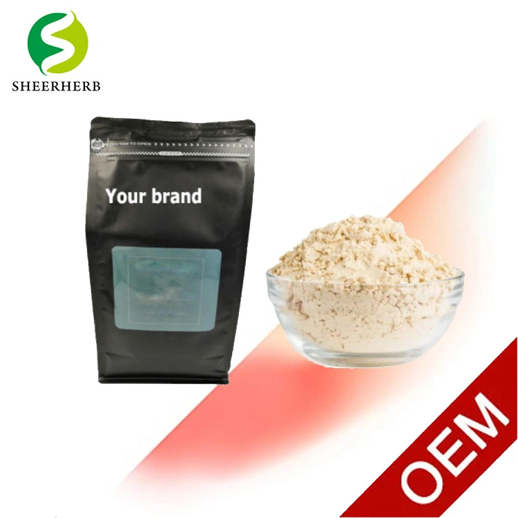 Factory Manufacture Direct Supply Best Whey Protein Isolate Powder CAS 84082-51-9