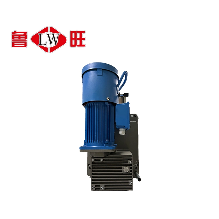 Electric Hoist Motor for Suspended Platform