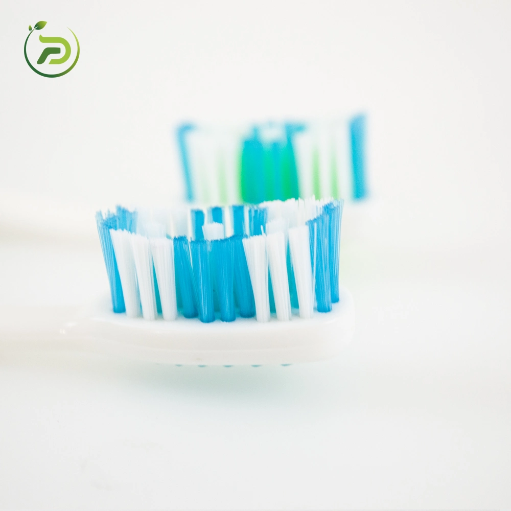 Biodegradable Eco-Friendly Personal Oral Care Adult Toothbrush Good