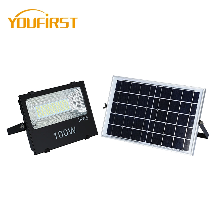 Remote Control Solar Spotlight Outdoor Products