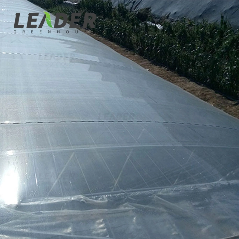 200 Micron Reinforced Agricultural Greenhouse Film