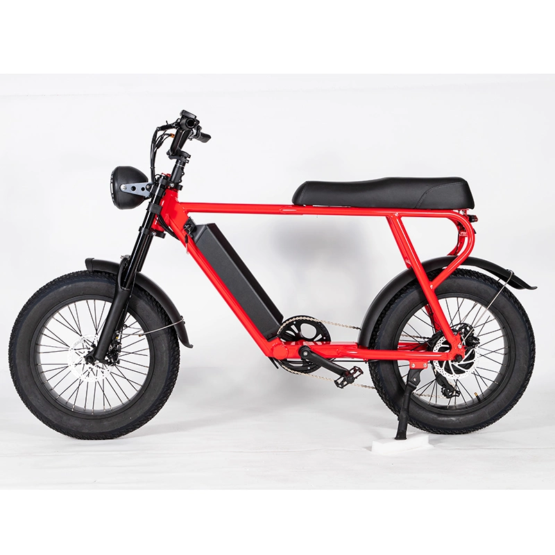 Aluminum Alloy Fat Tire Electric Bike 500W Motor 20ah Lithium Battery