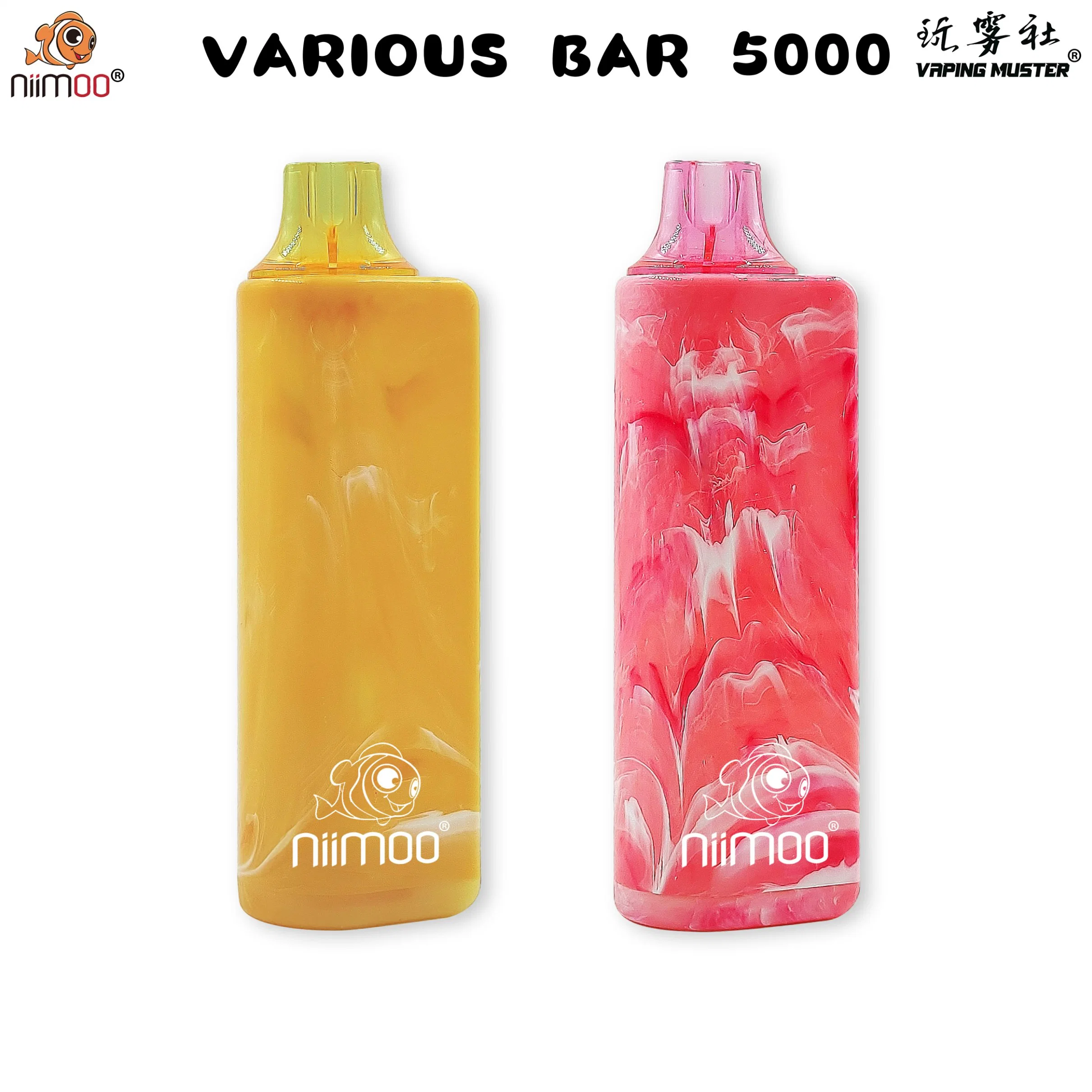 Prix de gros Vapes rechargeable E cigarette Vape Pen Niimoo Divers vaporisateurs Bar 5000 Puffs