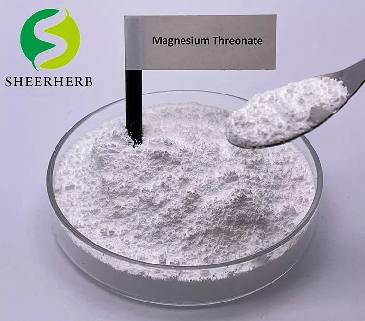 Factory Supply Best Price Magnesium L Threonate Nootropic L-Threonic Acid Magnesium Salt