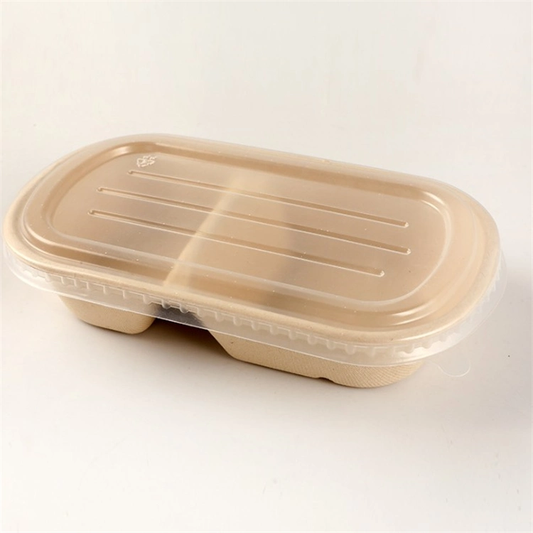 Neues Design biologisch abbaubare Take Away to Go Mittagessen Burger Essen Burger Ovaler Zellstoffbehälter zwei Zellen Zuckerrohr Bagasse Box mit Deckel