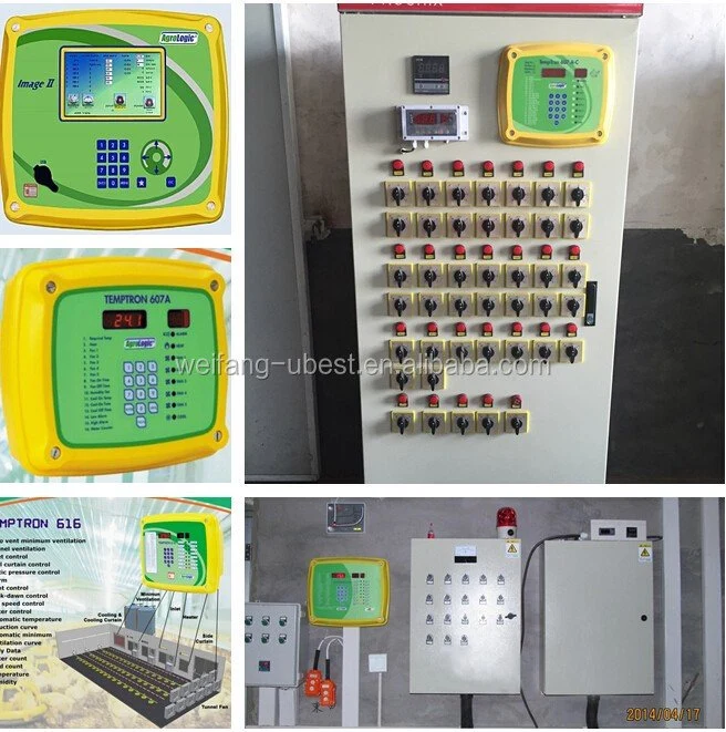 Granja de pollos y un alimentador automático del sinfín de equipos Sistema de Agua Potable