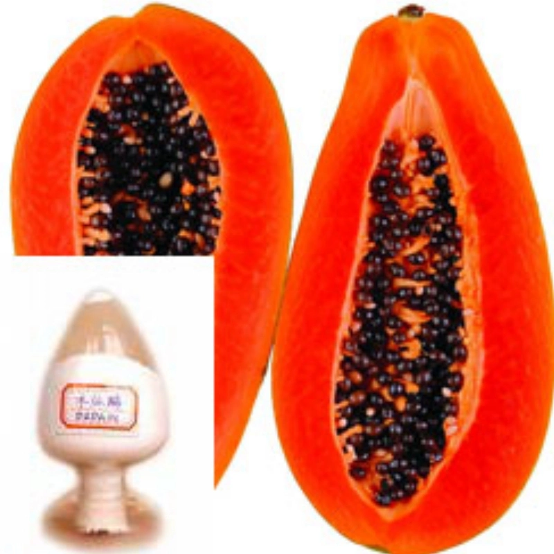 Nutural Plant Extract Papaya Extract Papain Improve Immunity Factory Supply