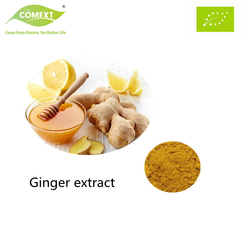 Comext Rendimiento de alta calidad/alto costo y beneficios Naturales polvo Amarillo claro Gingerol Extracto de jengibre