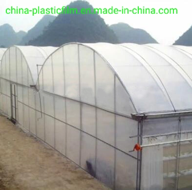 Agricultural Low Density Polyethylene UV Treated Plastic Sheeting Anti-Drip Greenhouse Plastic Film