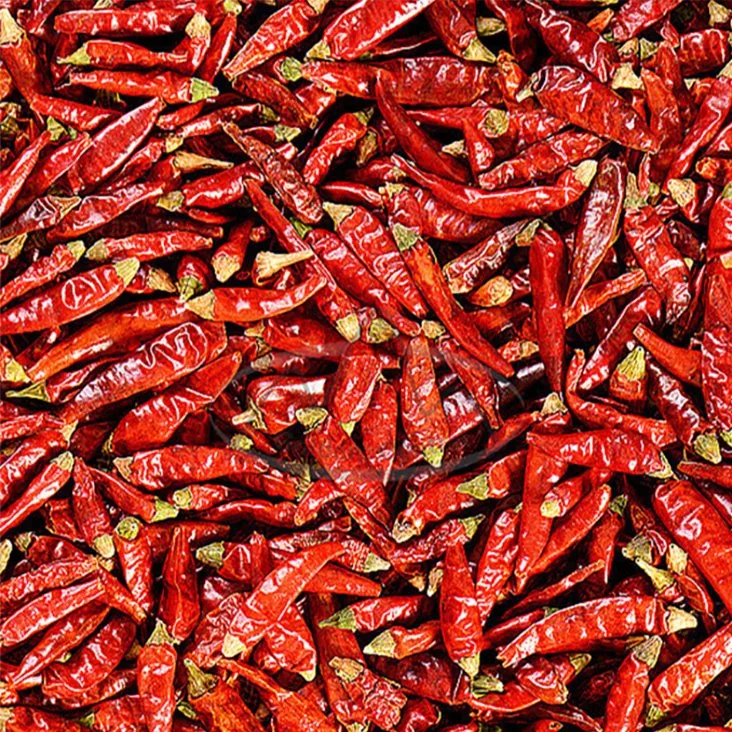 2023 Nueva temporada cosecha de Chile picante rojo seco suministro en El mejor precio