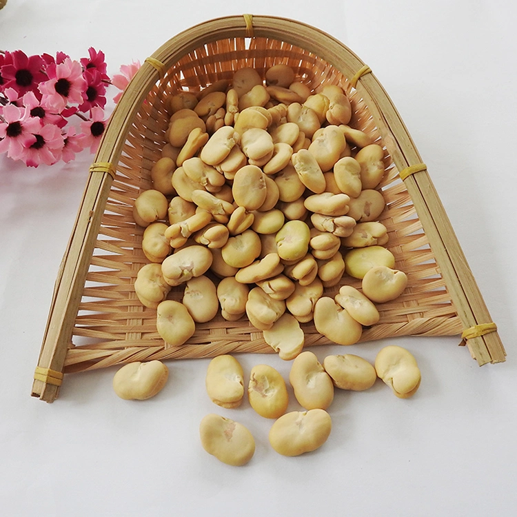 Peeled Whole Chinese Broad Beans Fava Beans Without Shell