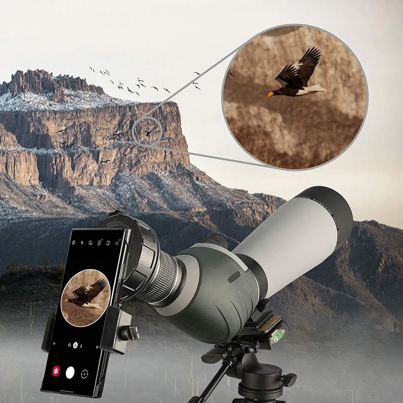 20-60x80 doble impermeable Spotting Scope Zoom centrándose Bak4 Totalmente recubierto de múltiples ocular en ángulo de 45 grados para la observación de aves