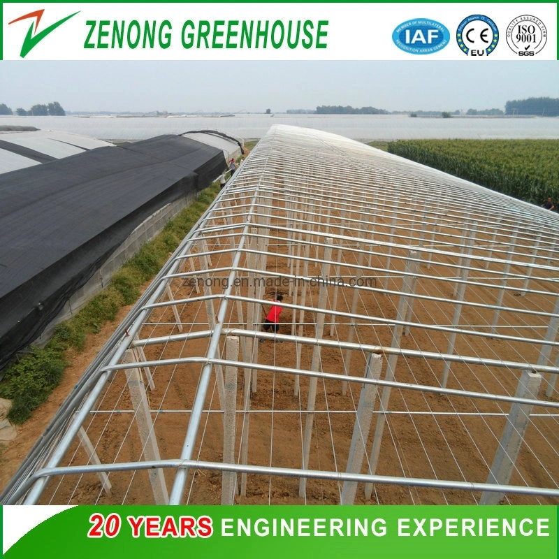 Chinese Po Film Greenhouse Solar Greenhouse with Cooling System for Growing Flowers/Tomato