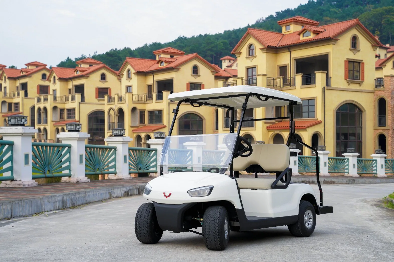 New Design 4 Wheels Electric Golf Cart 2 Seats