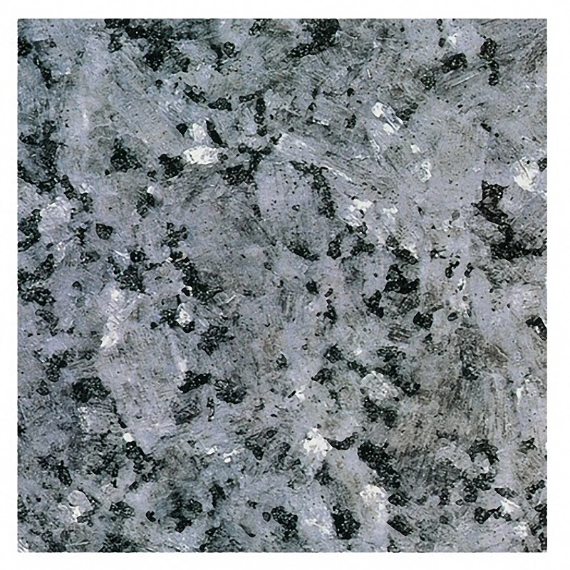 Black Granite for Floor Tile Natural Stone