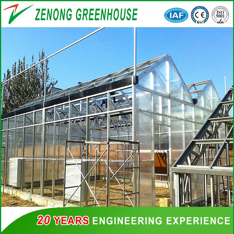 Polycarbonate Board Greenhouse for Vertical Farming