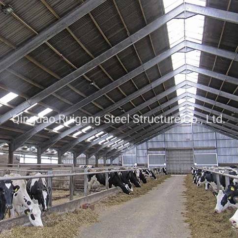 Light Steel Structure Design Livestock Farm Shed Goat /Cattle/Pig Farms Building