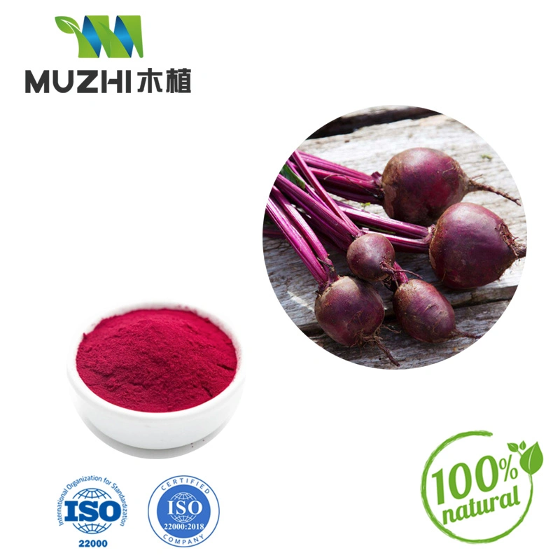 Beet Root Extract 50% Mehr Betain Nitrat Natürliche Kräuterpflanze Extrahieren