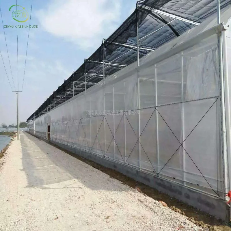 High quality/High cost performance agriculture Greenhouse Covering by 200 Micron Plastic Film